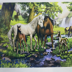 5D Yapışan Boncuk Goblen Mozaik Tablo Pano 40 x 50 cm 76404