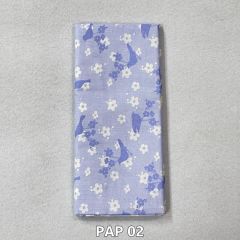 PAP 02