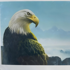 5D Yapışan Boncuk Goblen Mozaik Tablo Pano 40 x 50 cm 76211