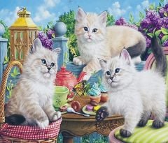 5D Yapışan Boncuk Goblen 40 x 50 cm Mozaik Tablo Pano 76472