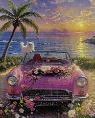 5D Yapışan Boncuk Mozaik Tablo 40*50 cm XQC87508