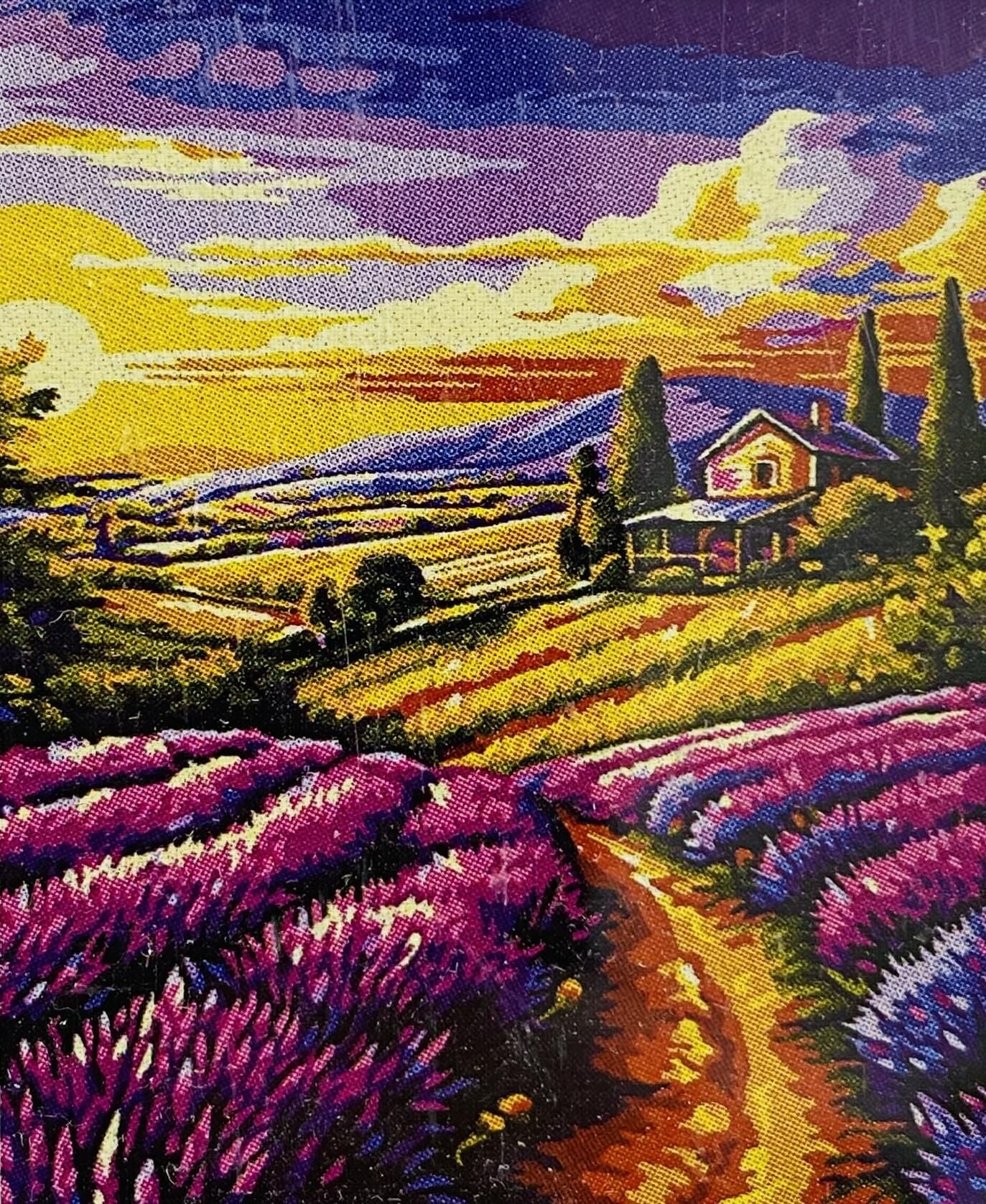 5D Yapışan Boncuk Mozaik Tablo 40*50 cm XQC87357