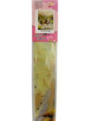 5D Yapışan Boncuk Mozaik Tablo 40*50 cm XQC87401