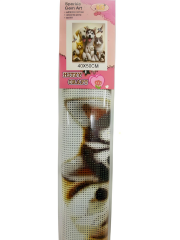 5D Yapışan Boncuk Mozaik Tablo 40*50 cm XQC87281