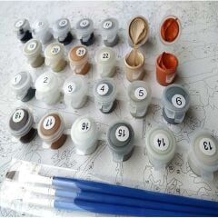 DIY Boyama Seti Dijital Baskılı Tuval Kit 40*50 w4333