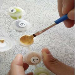 DIY Boyama Seti Dijital Baskılı Tuval Kit 40*50 w4333