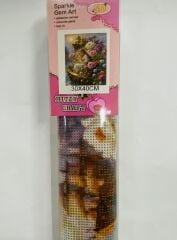 5D Yapışan Boncuk Mozaik Tablo 30*40 cm XQH92210