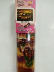 5D Yapışan Boncuk Mozaik Tablo 30*40 cm XQH90980