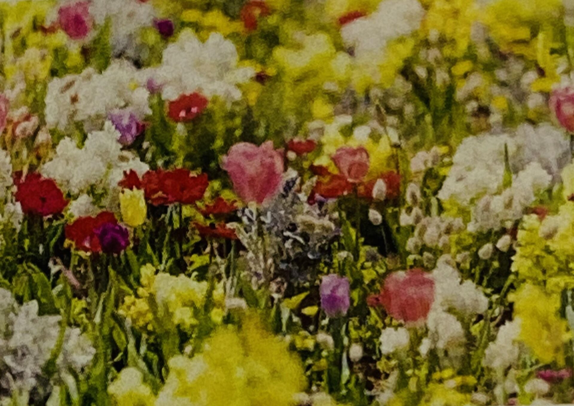 5D Yapışan Boncuk Mozaik Tablo 30*40 cm XQH90650