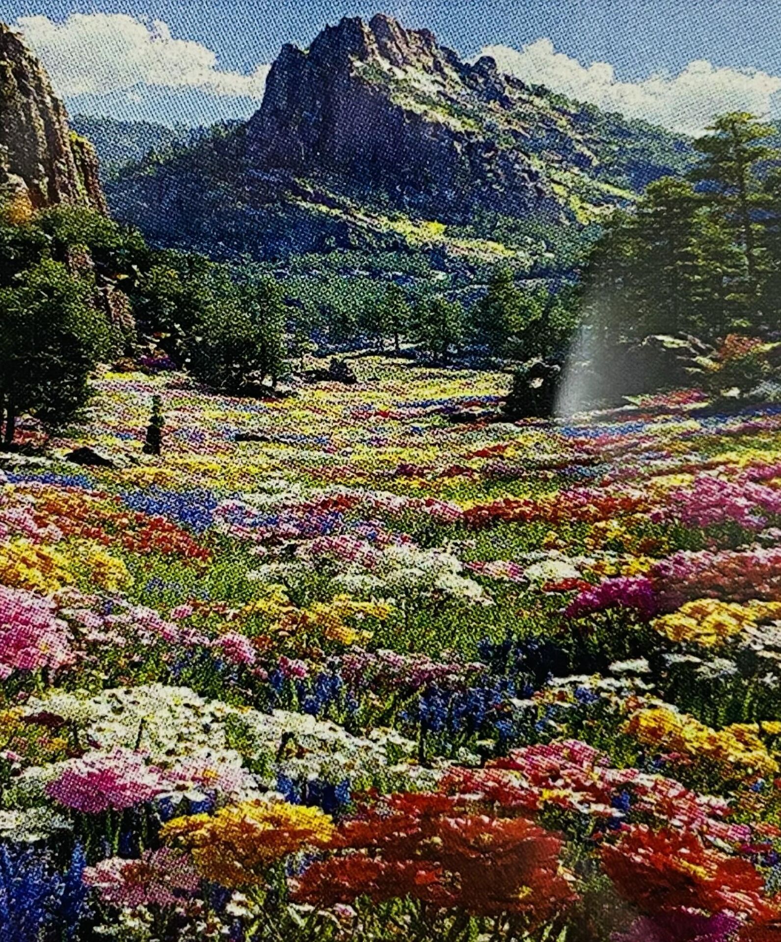 5D Yapışan Boncuk Mozaik Tablo 30*40 cm XQH92281