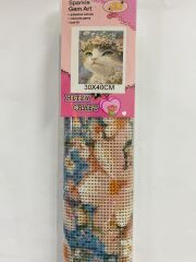 5D Yapışan Boncuk Mozaik Tablo 30*40 cm XQH90359