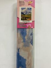 5D Yapışan Boncuk Mozaik Tablo 30*40 cm XQH89769