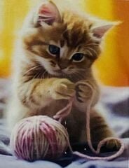 5D Yapışan Boncuk Mozaik Tablo 30*40 cm YZSX05