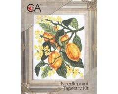 Collection D'Art Goblen Kit 20*25 3162K