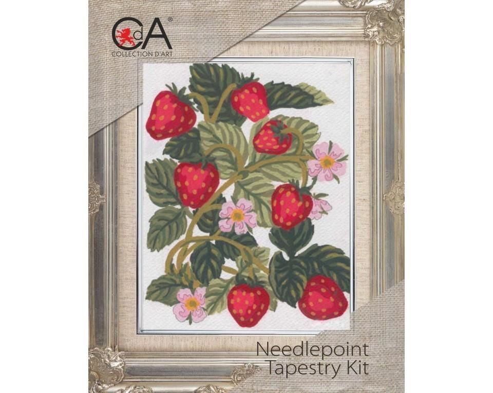 Collection D'Art Goblen Kit 20*25 3161K