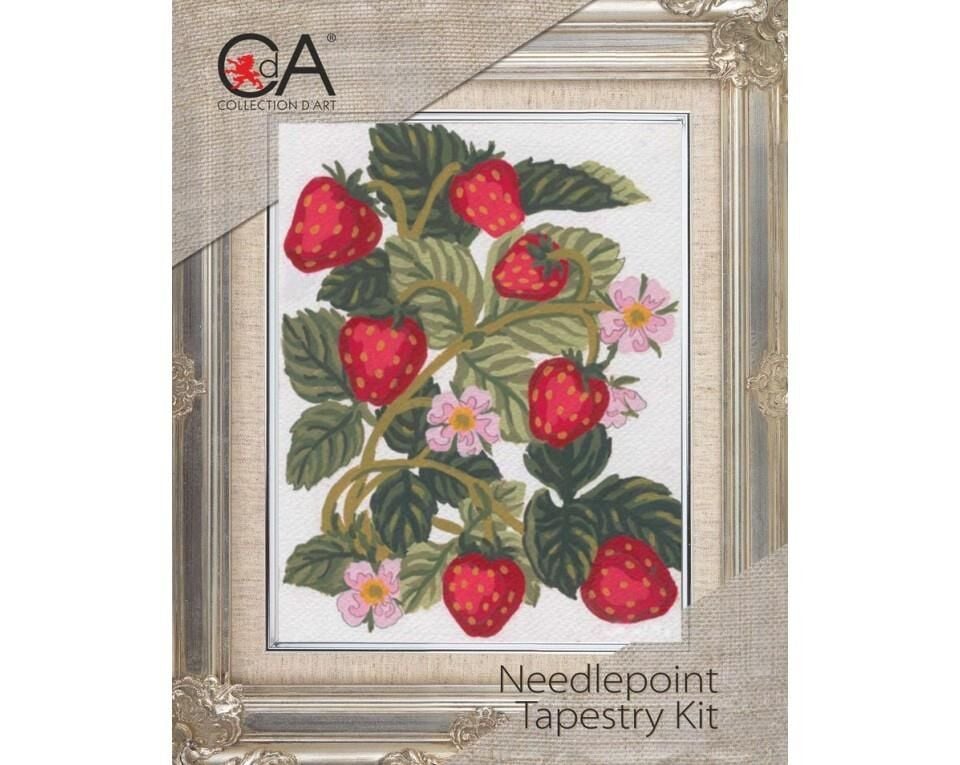 Collection D'Art Goblen Kit 20*25 3161K