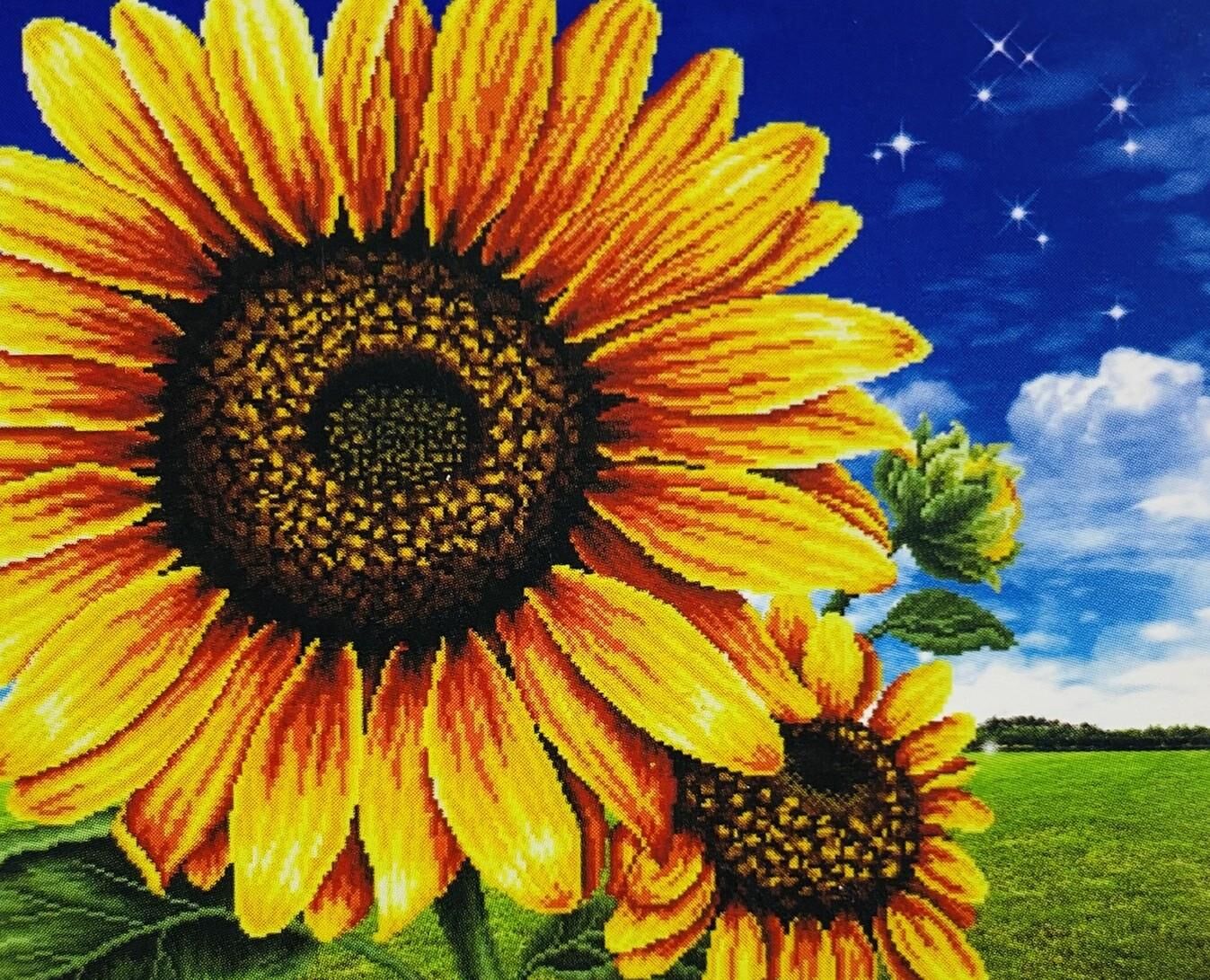 5D Yapışan Boncuk Mozaik Tablo 30*40 cm PNXX01