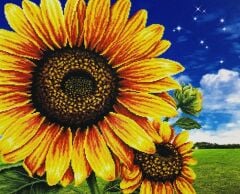 5D Yapışan Boncuk Mozaik Tablo 30*40 cm PNXX01