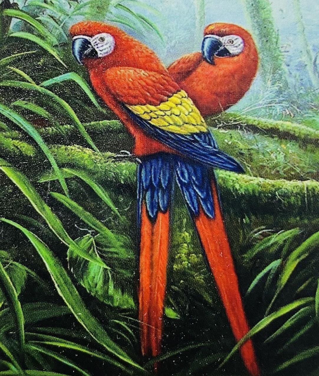 5D Yapışan Boncuk Mozaik Tablo 30*40 cm PNXX02