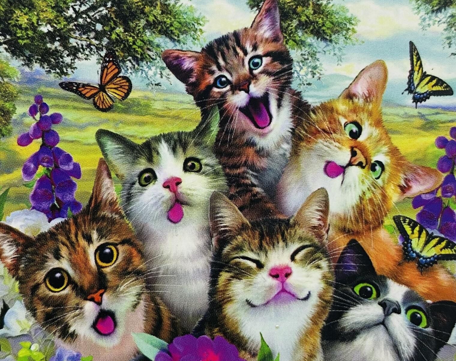 5D Yapışan Boncuk Mozaik Tablo 30*40 cm PNXX03