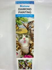 5D Yapışan Boncuk Mozaik Tablo 30*40 cm PNXX03