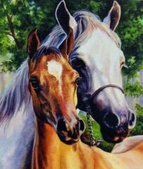 5D Yapışan Boncuk Mozaik Tablo 30*40 cm PNXX04