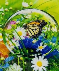5D Yapışan Boncuk Mozaik Tablo 40*50 cm H5X02