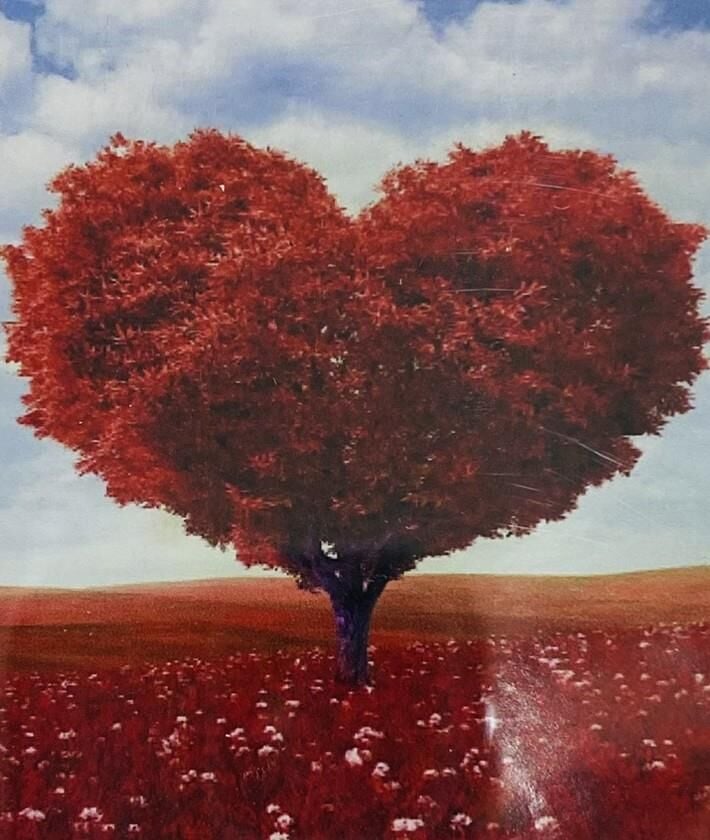 5D Yapışan Boncuk Mozaik Tablo 40*50 cm H5X12