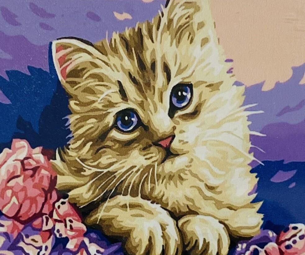 5D Yapışan Boncuk Mozaik Tablo 40*50 cm H5X19