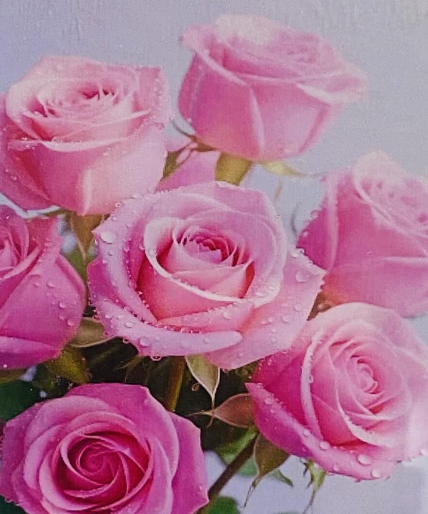 5D Yapışan Boncuk Mozaik Tablo 40*50 cm H5X21