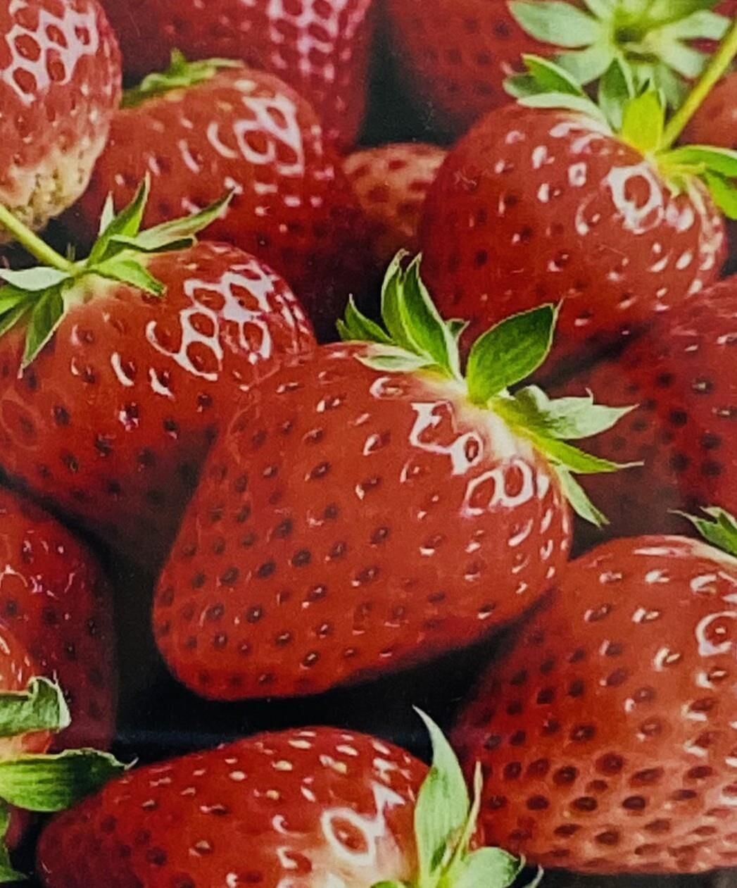 5D Yapışan Boncuk Mozaik Tablo 40*50 cm H5X27