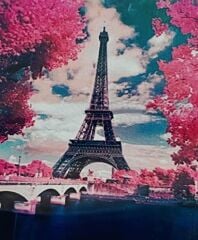 5D Yapışan Boncuk Mozaik Tablo 40*50 cm H5X28