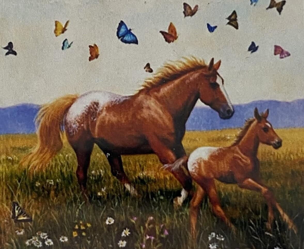 5D Yapışan Boncuk Mozaik Tablo 40*50 cm H5X32