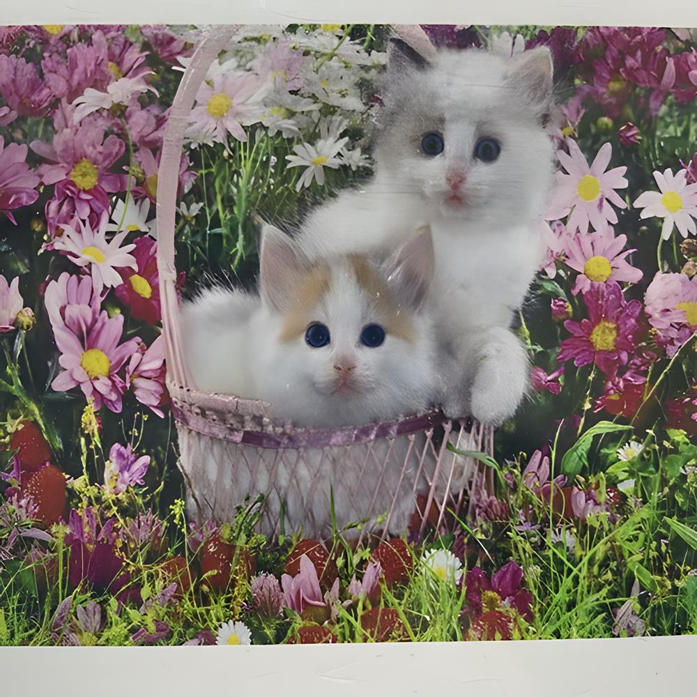 5D Yapışan Boncuk Goblen 30 x 40 cm Mozaik Tablo Pano 60328