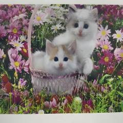 5D Yapışan Boncuk Goblen 30 x 40 cm Mozaik Tablo Pano 60328