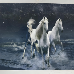 5D Yapışan Boncuk Goblen 30 x 40 cm Mozaik Tablo Pano 60326