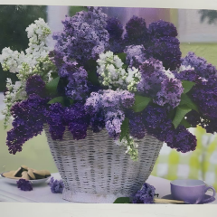 5D Yapışan Boncuk Goblen 30 x 40 cm Mozaik Tablo Pano 60517