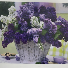 5D Yapışan Boncuk Goblen 30 x 40 cm Mozaik Tablo Pano 60517