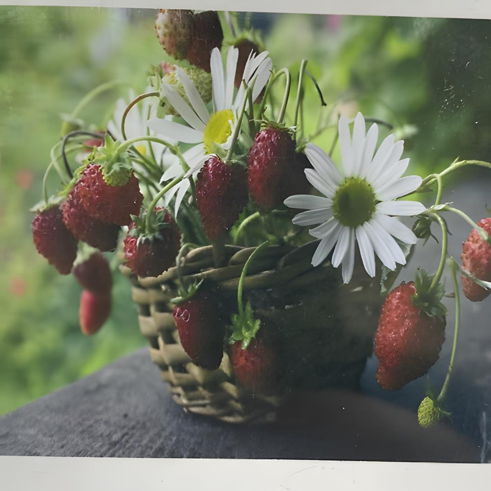 5D Yapışan Boncuk Goblen 30 x 40 cm Mozaik Tablo Pano 60291