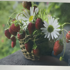 5D Yapışan Boncuk Goblen 30 x 40 cm Mozaik Tablo Pano 60291