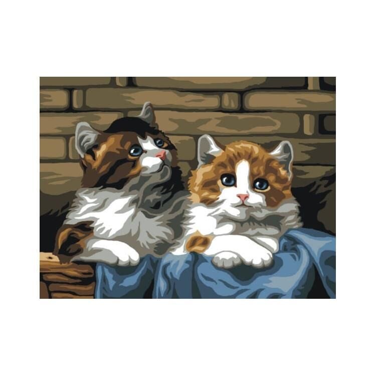 Orchidea Baskılı Goblen Kediler C104 30*40 cm