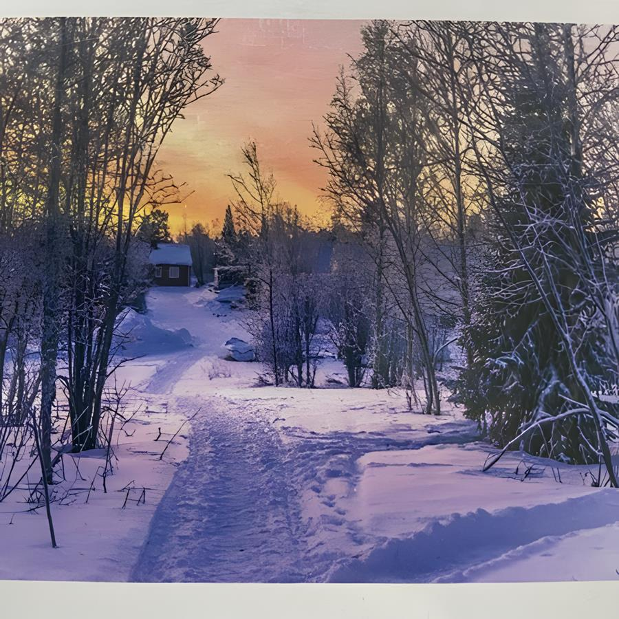 5D Yapışan Boncuk Goblen 30 x 40 cm Mozaik Tablo Pano 60450