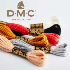 Dmc Muline Nakış İpi 1-3866 034