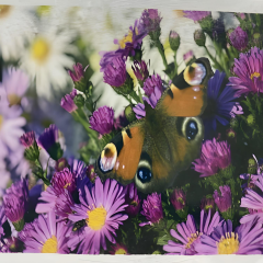 5D Yapışan Boncuk Goblen 30 x 40 cm Mozaik Tablo Pano 60338