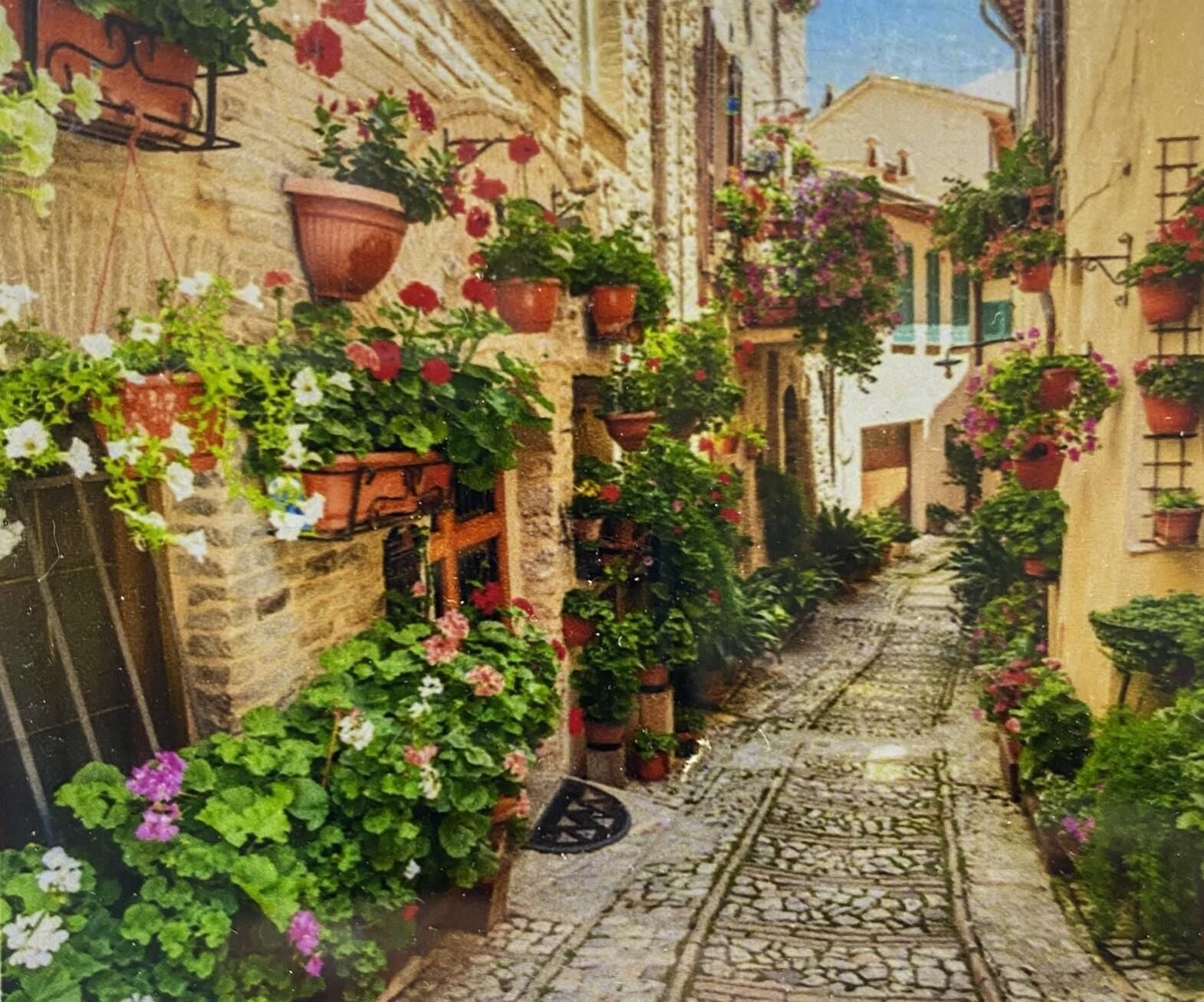 5D Yapışan Boncuk Mozaik Tablo 40*50 cm TS24