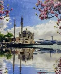 5D Yapışan Boncuk Mozaik Tablo 40*50 cm TS25