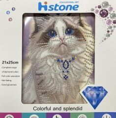 5D Yapışan Boncuk Goblen Mozaik Tablo Pano 21*25 cm Mavi Kedi