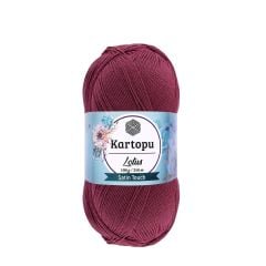 K756 Vişne Çürüğü