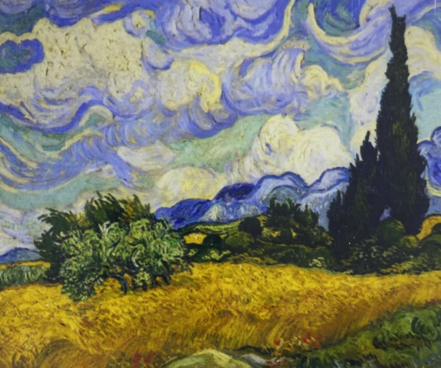 5D Yapışan Boncuk Mozaik Tablo 40*50 cm TS31