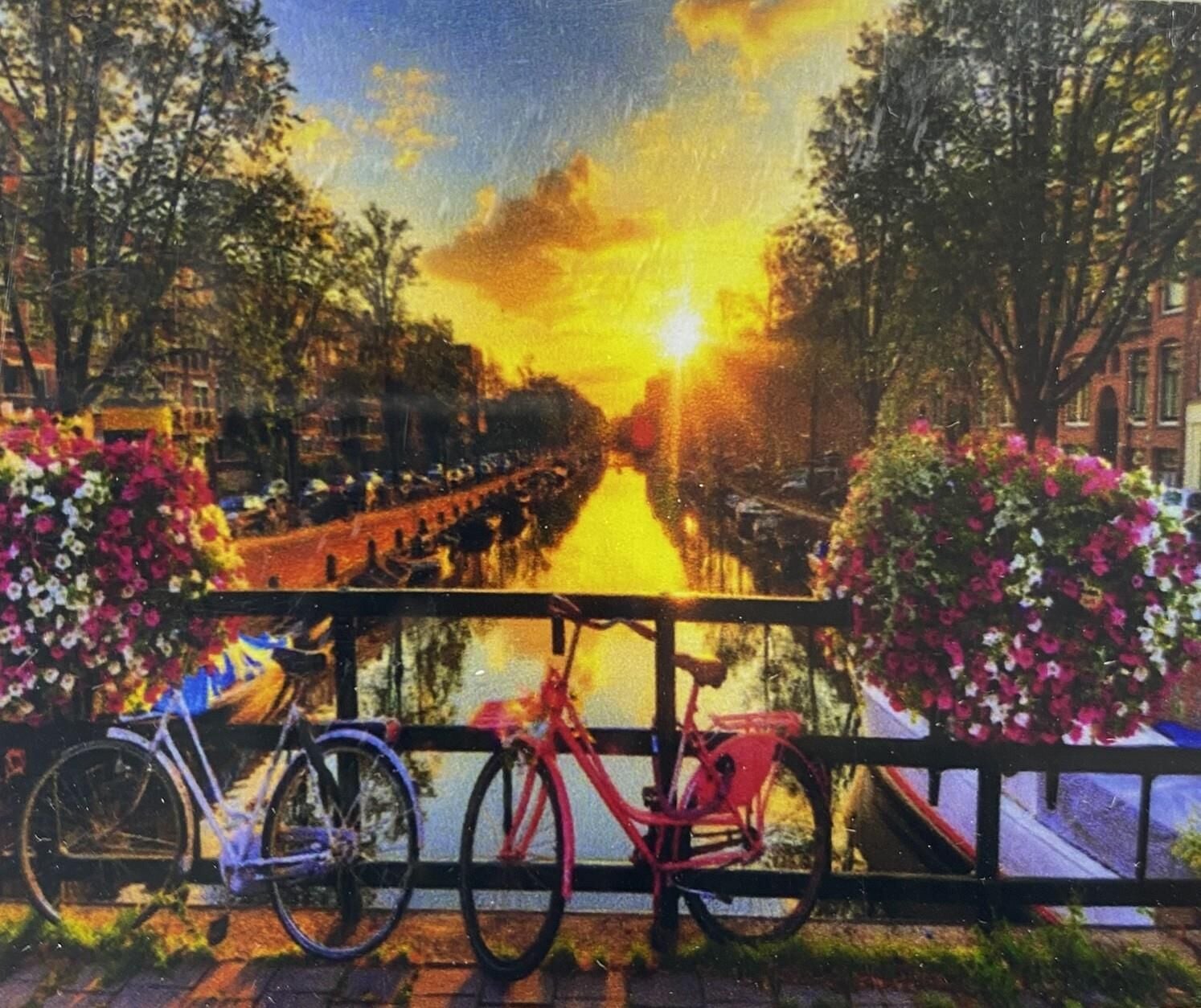 5D Yapışan Boncuk Mozaik Tablo 40*50 cm TS32